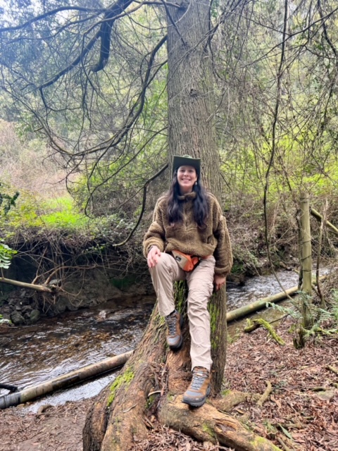 img 6780 (1) img 6780 (1)